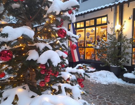 Flensburg schneebedeckte Tanne